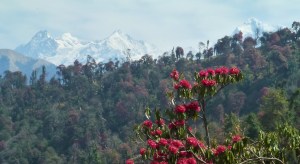 Ganesh Himal from the trail between Barpak and Laprak