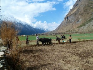 Tsum Valley after Chokang Paro